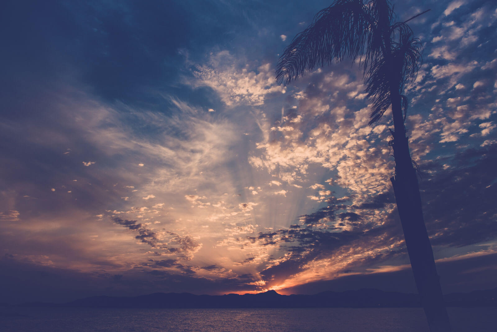 Odoo CMS - una imagen grande